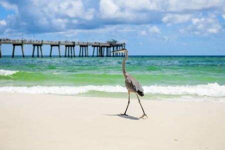 Fort Walton Beach RV Park