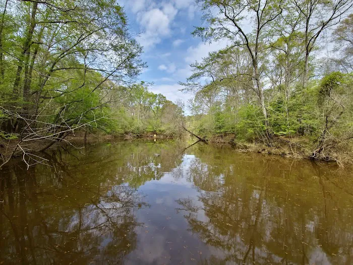 Isaac Creek Campground 6