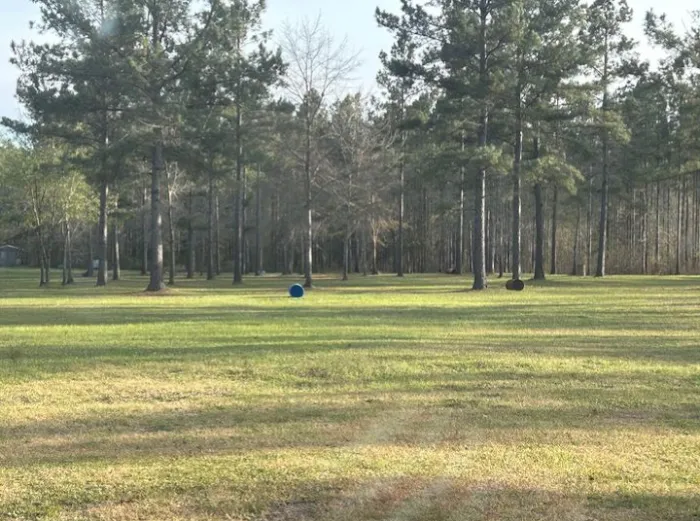Homestead Trailer Park 5