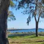 Mid Bay Shores Camp Grounds
