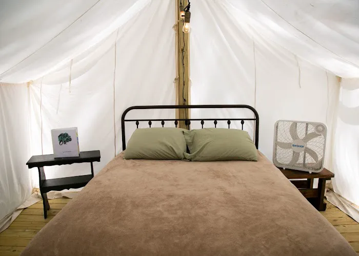 The Oaks Family RV Park & Campground 3