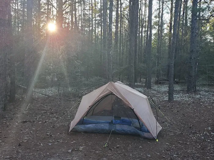 Alaqua Campsite 2
