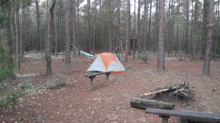 Alaqua Campsite 1