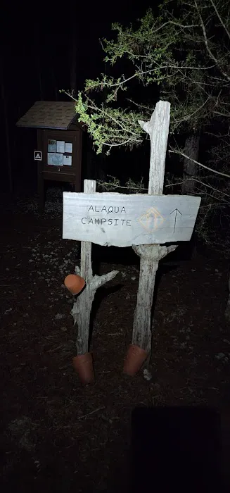 Alaqua Campsite 4