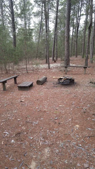 Alaqua Campsite 5