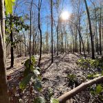 Lake City Campground
