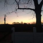 Anthony's Mobile Home Park #1