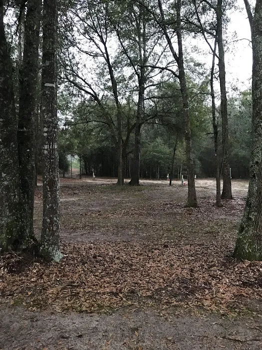 Liveoak Rv Park-Alabama 2