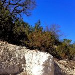 Boy Scouts of America, Bear Creek Scout Reservation