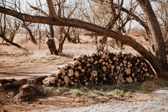 Mesquite Hallow 9