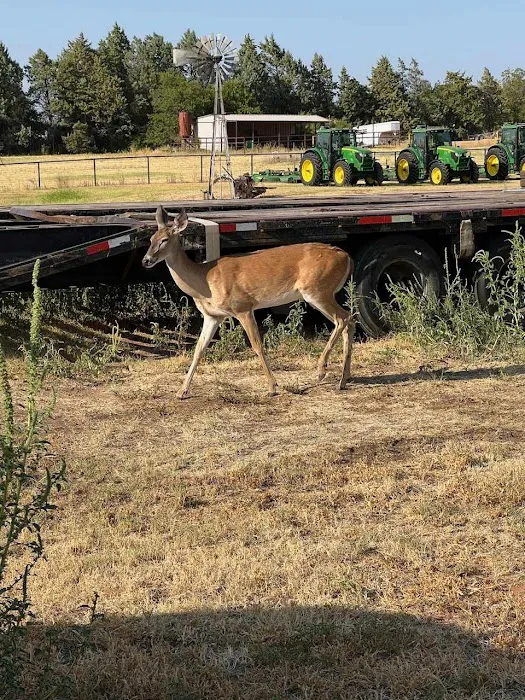 Creekside RV Seymour TX 9