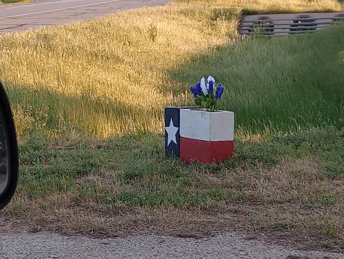 LoneStar PecanShell RV Ranch and Camp 2