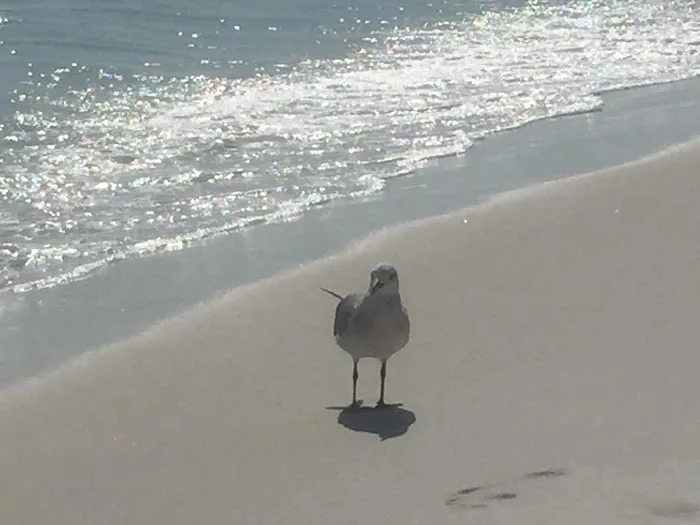 Destin Village RV Resort…. A Great Place To Bring Your Family! 7