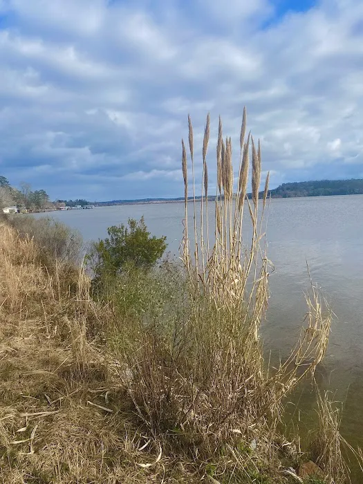 Gantt Lake RV Park and Rentals 1