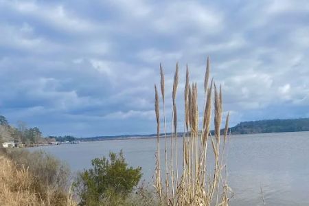 Gantt Lake RV Park and Rentals