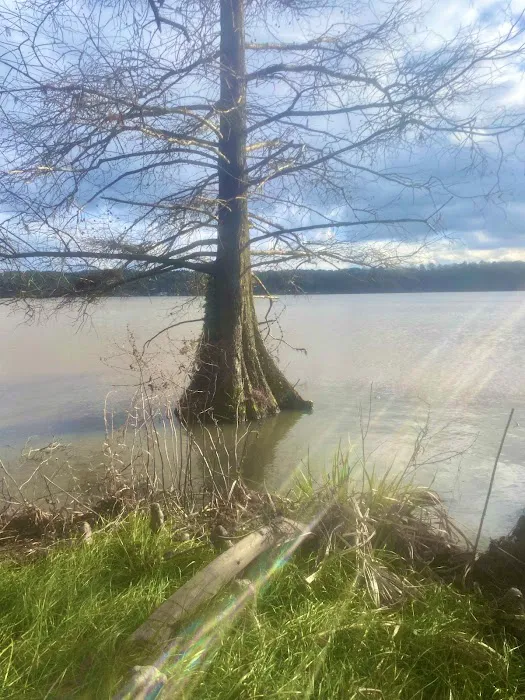 Gantt Lake RV Park and Rentals 8