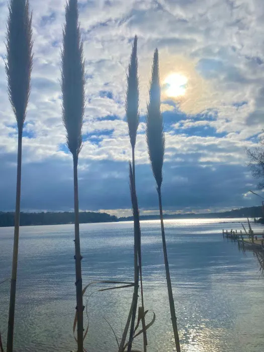 Gantt Lake RV Park and Rentals 9