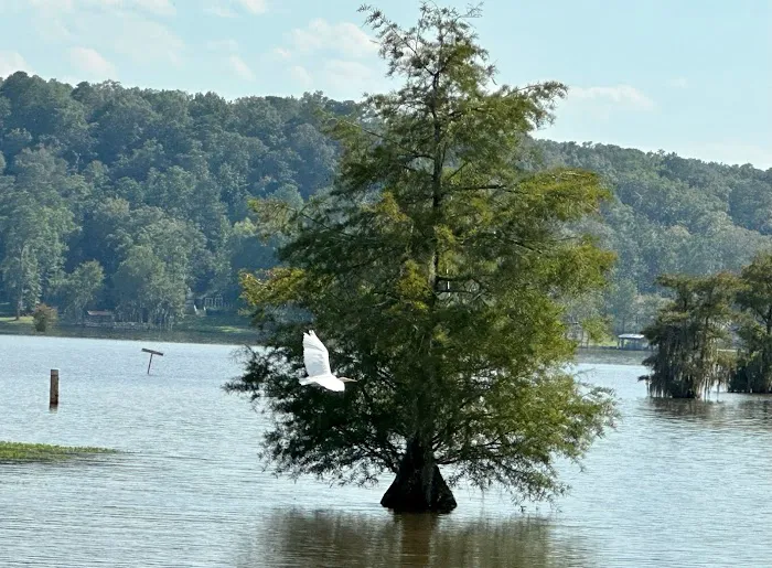 Cypress Landing RV Park & Lakeside Club 5
