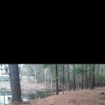 Fox valley tiny homes