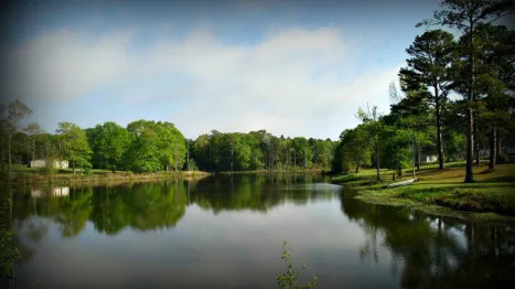 Cool Springs Park - Mobile Home & RV Community 3