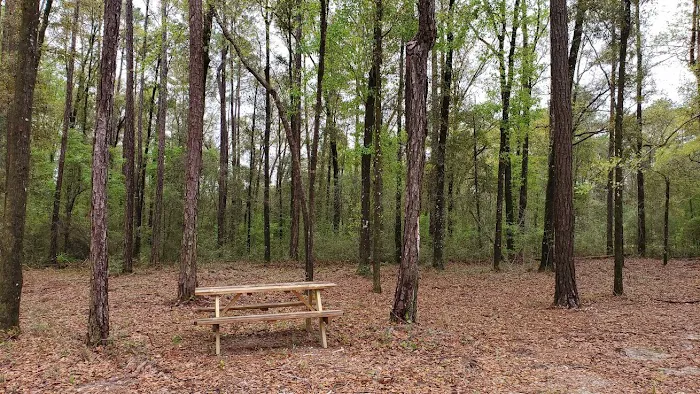 Black Creek RV Park 3