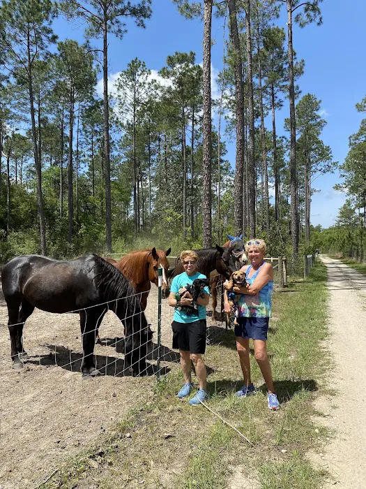 Black Creek RV Park 6