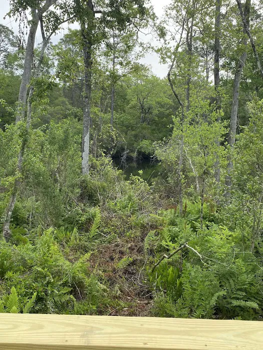 Black Creek RV Park 8