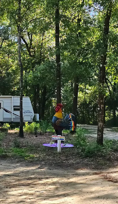 CampOut Alabama 6