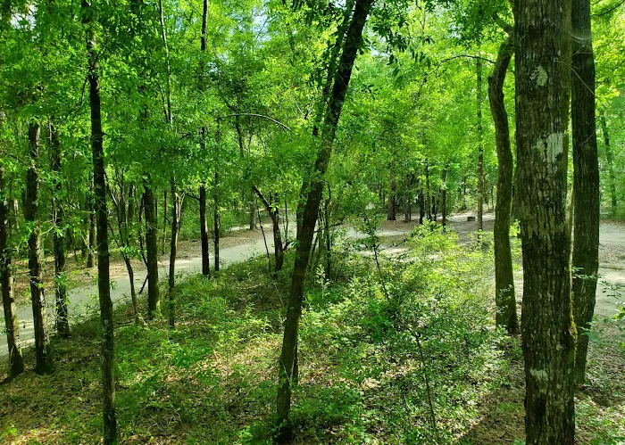 CampOut Alabama 9