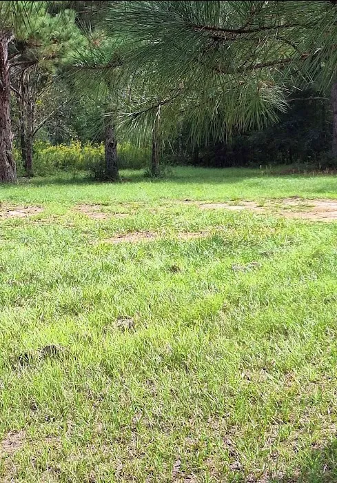 Pecan Hills Campground 4