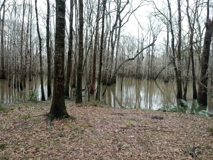 Lost Lake Campsite 2