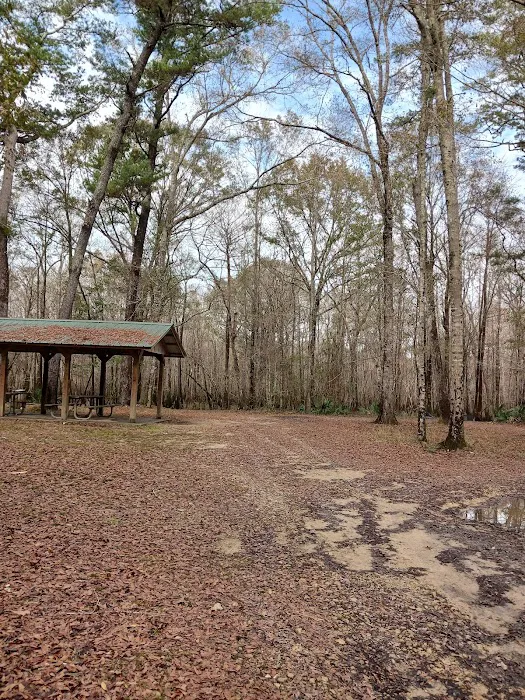 Lost Lake Campsite 3