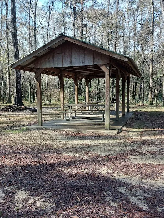 Lost Lake Campsite 6