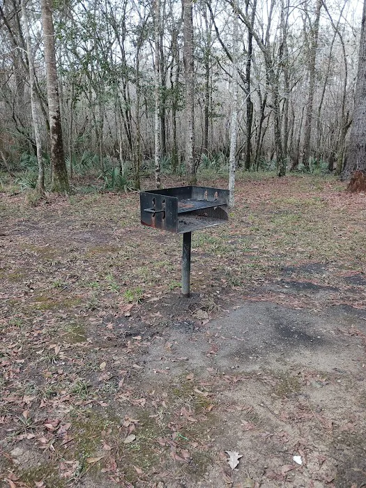 Lost Lake Campsite 7