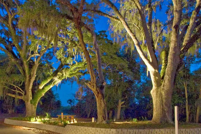 Live Oak Landing 7