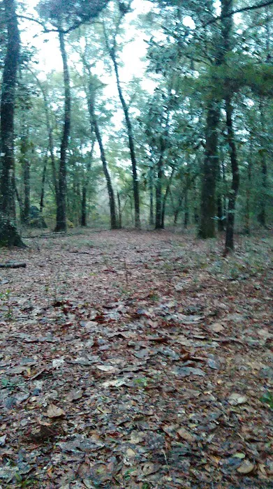 Peach Creek RV Park 9
