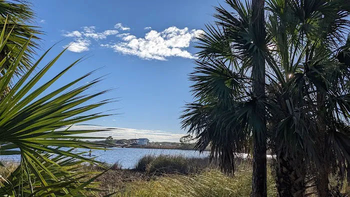 Camp Grayton Beach State Park Campground 6