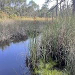 Eastern Lake Campground 1