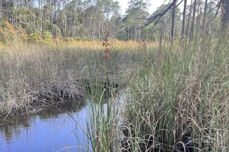 Eastern Lake Campground 1