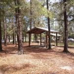 Dead River Landing Campground