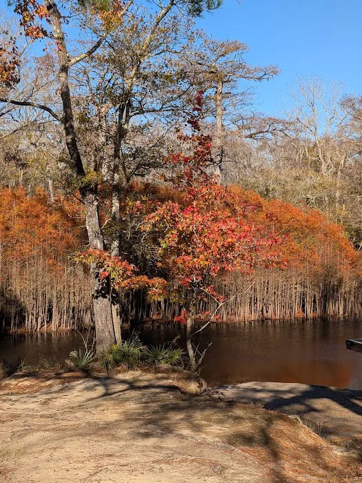 Dead River Landing Campground 3