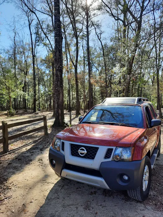 Dead River Landing Campground 4