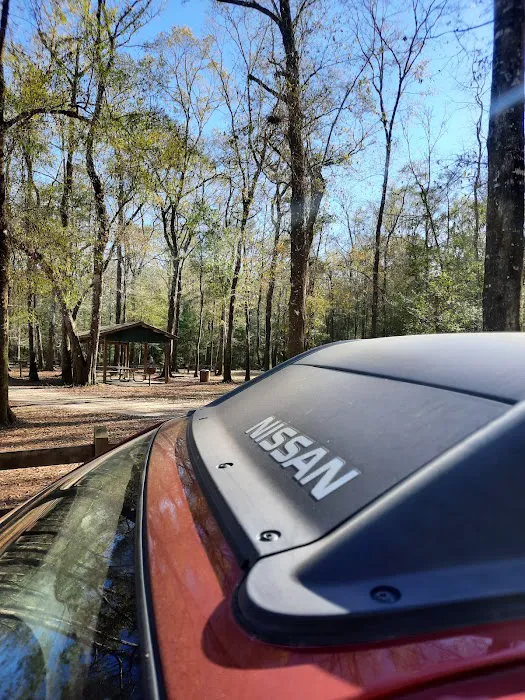 Dead River Landing Campground 6