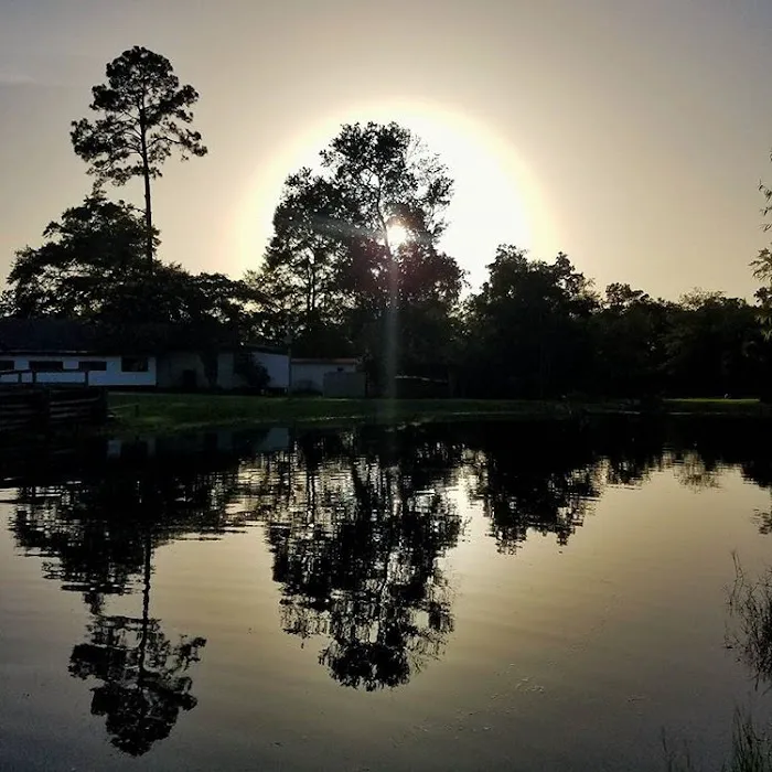 Outback Springs RV Resort 4