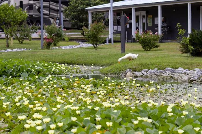 Outback Springs RV Resort 9
