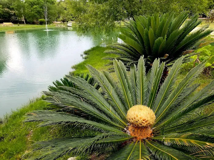 Outback Springs RV Resort 10