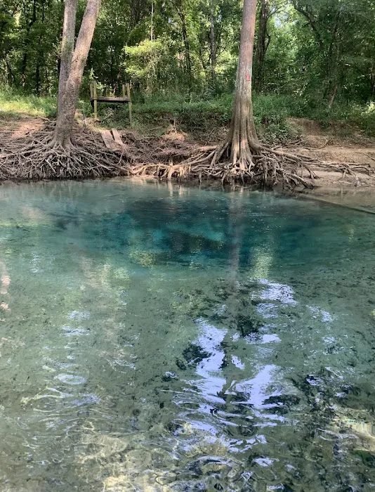 River Run RV Campground Bonifay 7