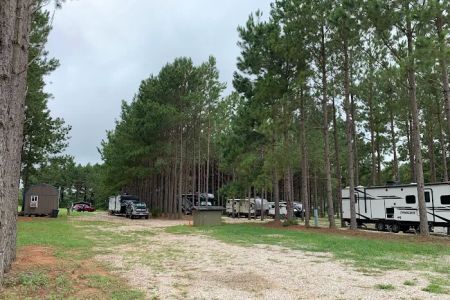 American Robin RV Park