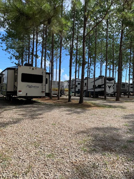 American Robin RV Park 7