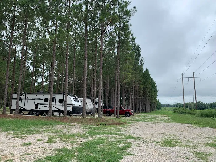 American Robin RV Park 8